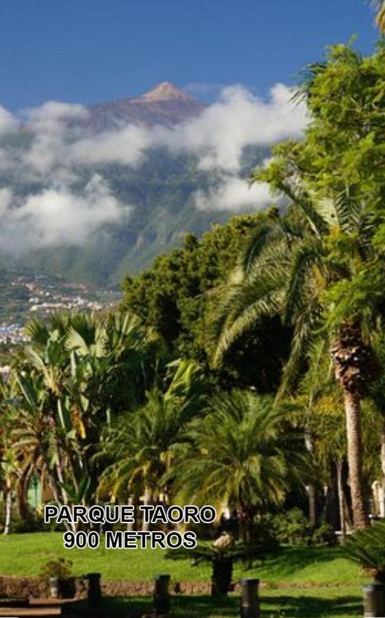 Toplage. Blick. Sauber. Günstig. Pool. Gepflegt Puerto de la Cruz  Exterior foto