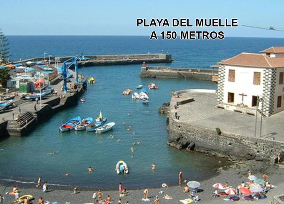 Toplage. Blick. Sauber. Günstig. Pool. Gepflegt Puerto de la Cruz  Exterior foto